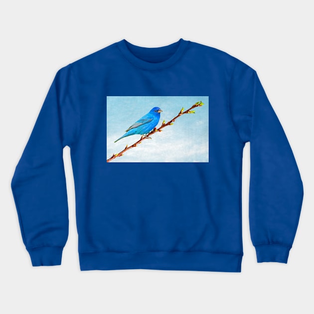 Indigo Bunting Bird Crewneck Sweatshirt by lauradyoung